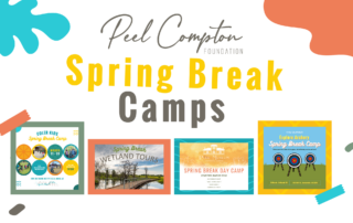 4 Spring Break Camp graphics on a white background under the heading "Peel Compton Foundation Spring Break Camps" in yellow.