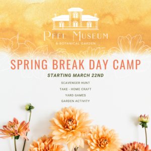 White and orange background with flowers and text that reads "Spring Break Day Camp at Peel Museum and Botanical Garden"
