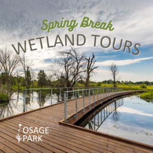 Photo of the Osage Park wetlands with green and brown text that reads "Free" Wetlands Tours