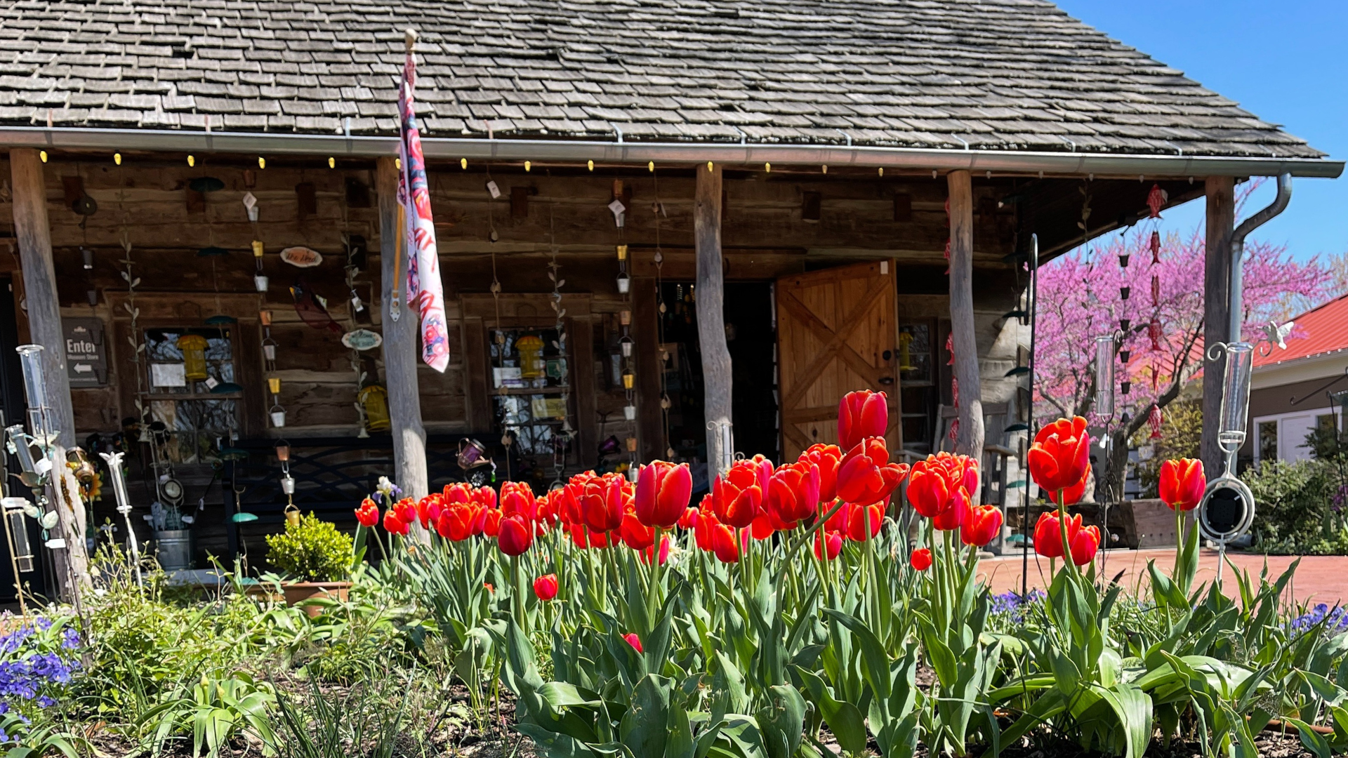 A photo of the front of the Peel Museum Store in the springtime. The peel museum store is located inside of the historic Andy Lynch Cabin.