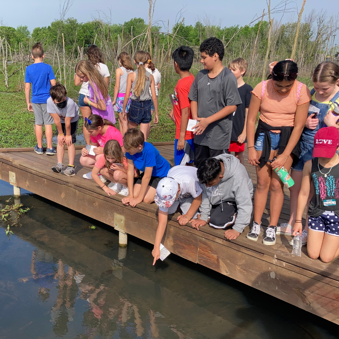 Kids lining up on a boardwalk and pointing to fish swimming in the wetlands at Osage Park