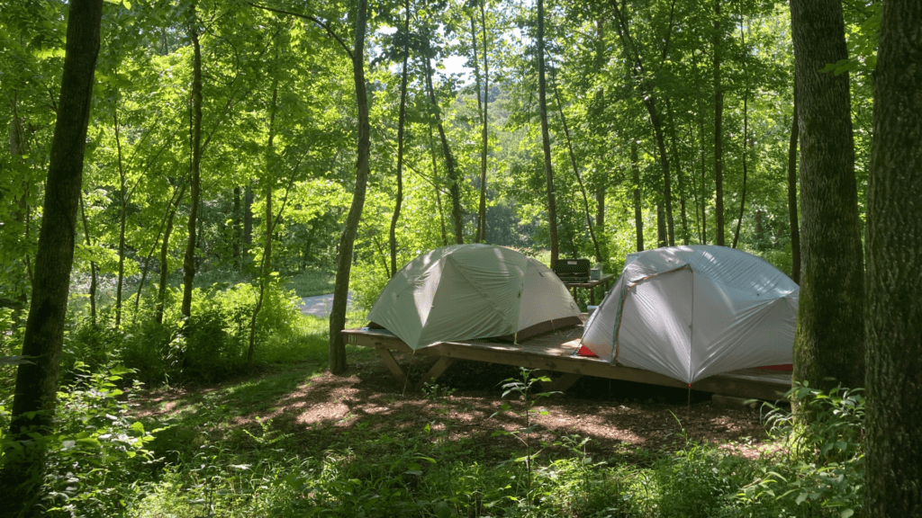 Two camping tents (silver) on a wooden platform in the woods. The trees are green and glowing in the sunlight.