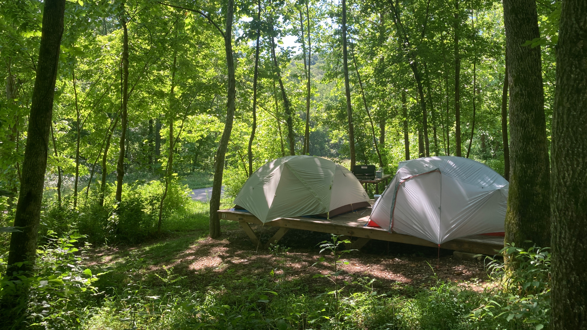 Two camping tents (silver) on a wooden platform in the woods. The trees are green and glowing in the sunlight.