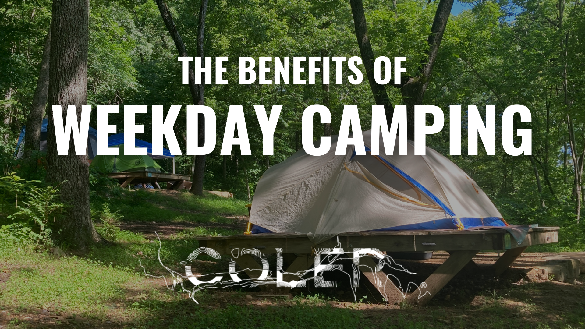camping tent on a wooden platform in a the woods with "The Benefits of Weekday Camping at Coler" overlaid in white letters.