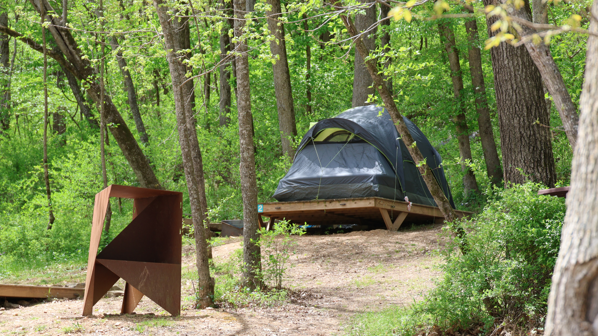 Blue camping tent in the woods surrounded by green trees and shrubs