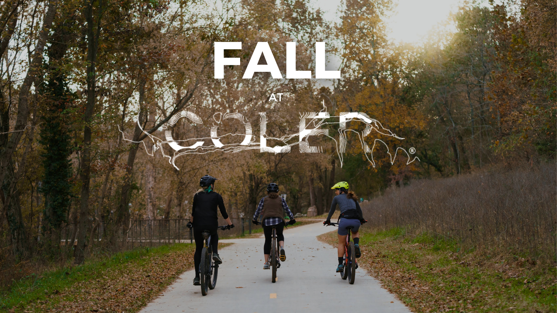 Fall at Coler MTB Preserve