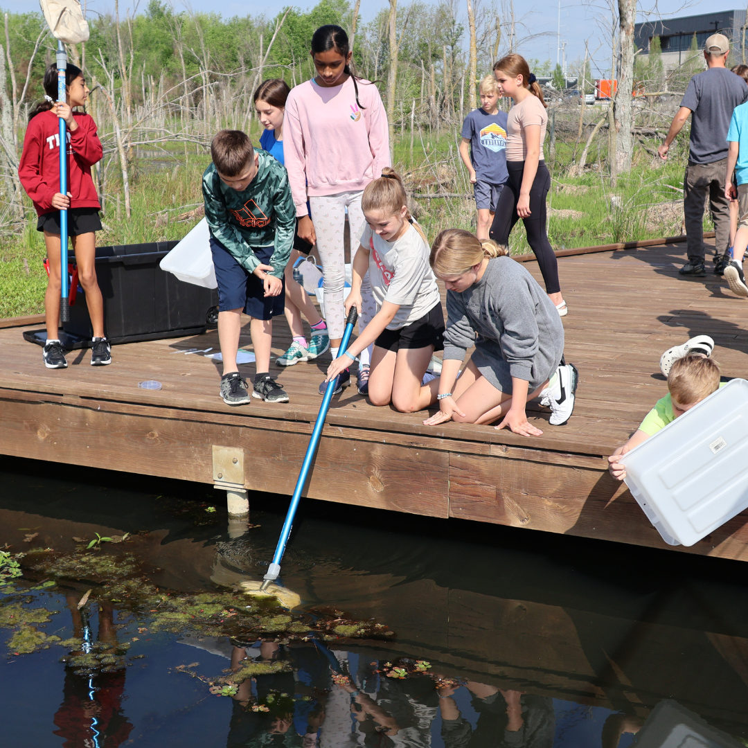Kids scooping out plant matter samples from the wetlands at Osage Park