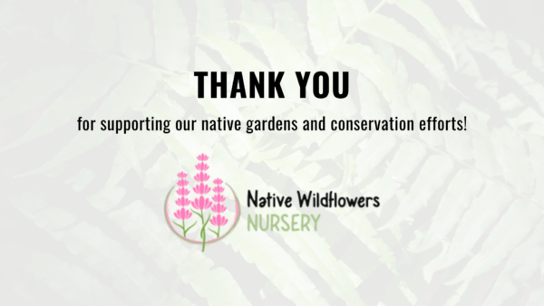 Banner with a background of ferns with a white overlay saying: "Thank you to Native Wildflowers Nursery for supporting our native gardens and conservation efforts!"