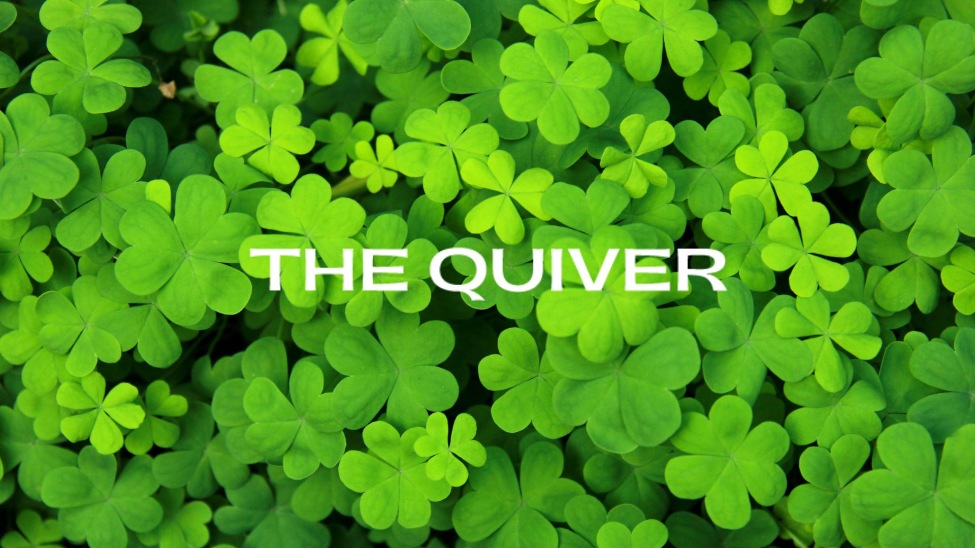 Saint Patrick's Day Shoot at the Quiver Archery Range - field of clovers with the quiver logo in the middle