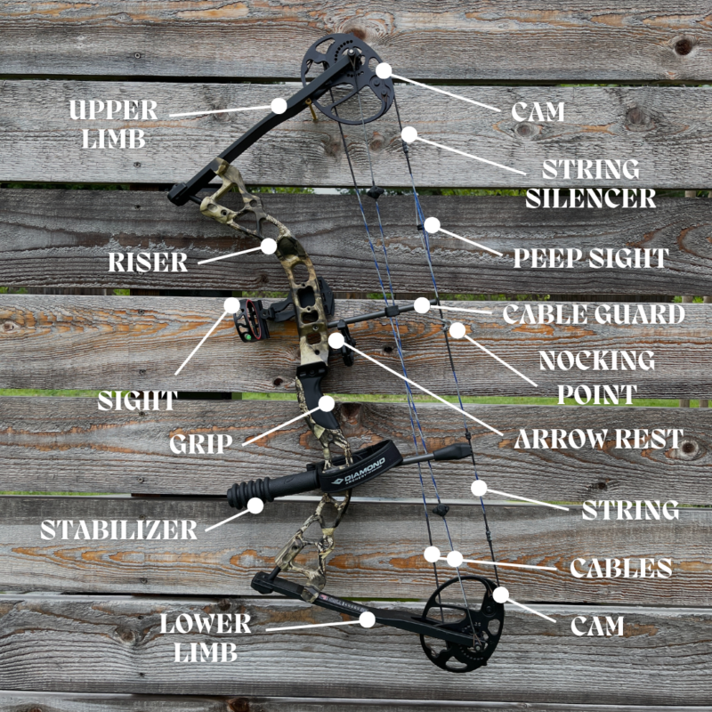 Anatomy of Compound bow labeled with all parts and pulleys - The Quiver Archery Range in Bentonville, Arkansas